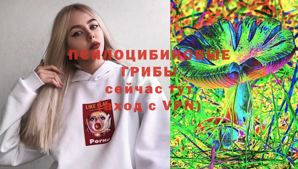 таблы Нея