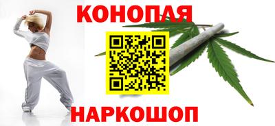шишки Гай