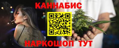 шишки Гай