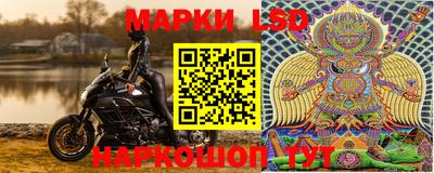 шишки Гай