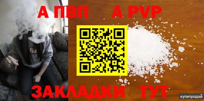 шишки Гай