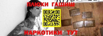 шишки Гай